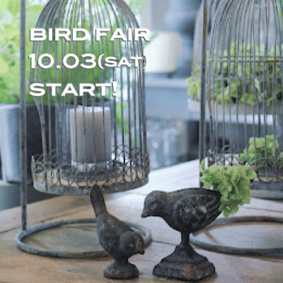 BIRD FAIR10/3(土)~