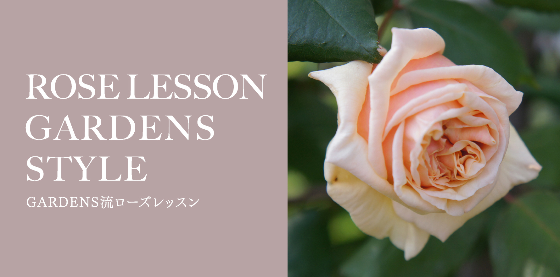 ROSE LESSON in GARDENS STYLE ガーデンズ流ローズレッスン