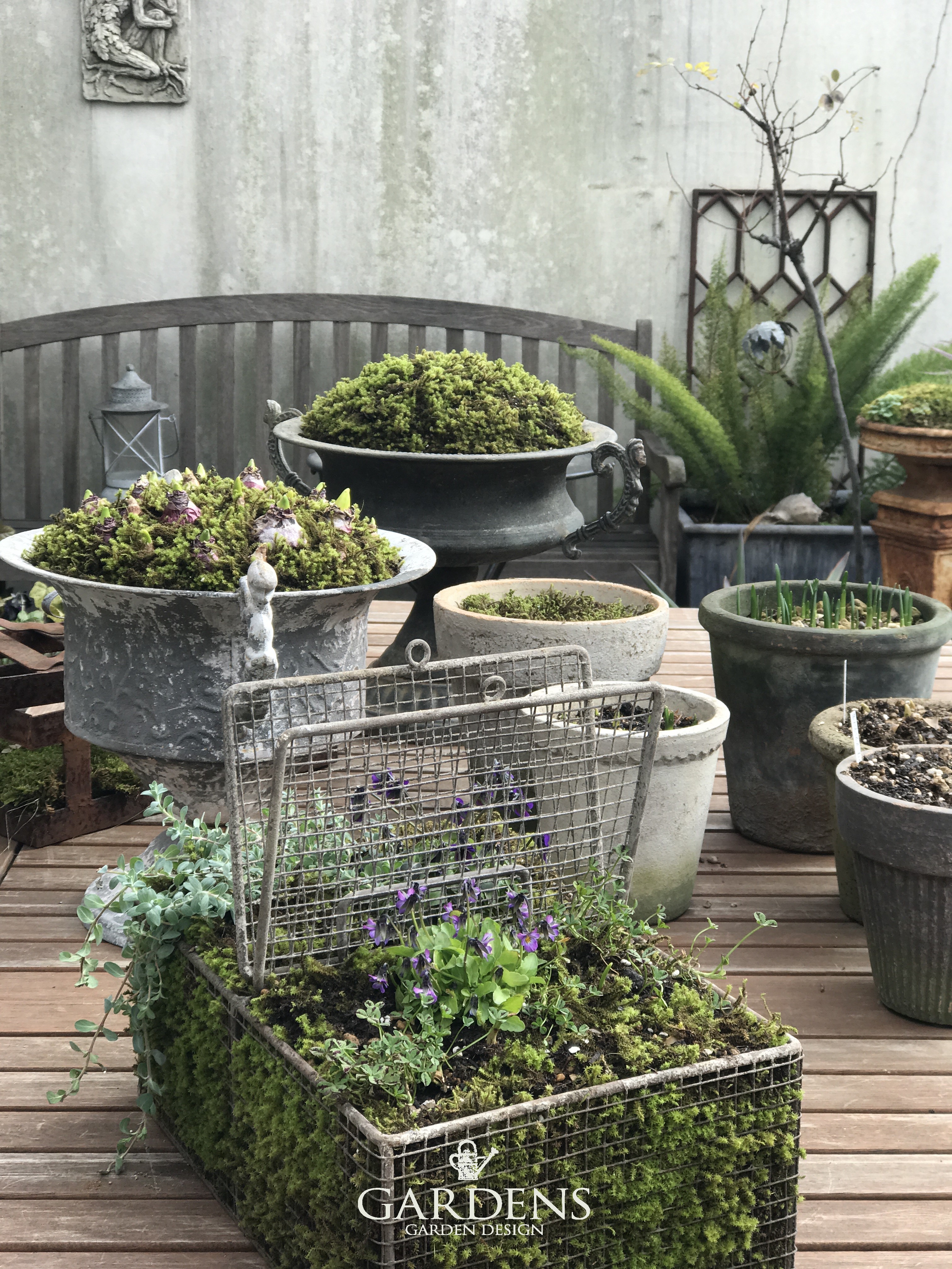 のんのん様おまとめ２点【花台オブジェ、屋根付きラダー】 Plant bulbs - GARDENS（ガーデンズ） | 香川県高松市の造園