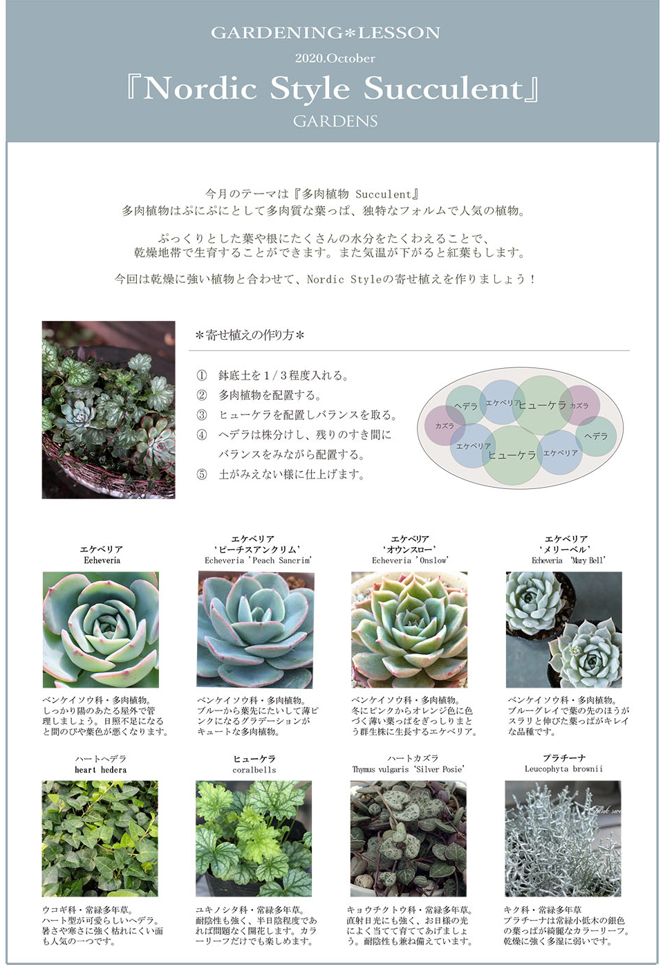 Nordic Style Succulent Gardens ガーデンズ 香川県高松市の造園 エクステリア ガーデニング デザイン