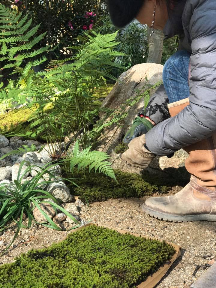 19756481_1576748582410340_8504