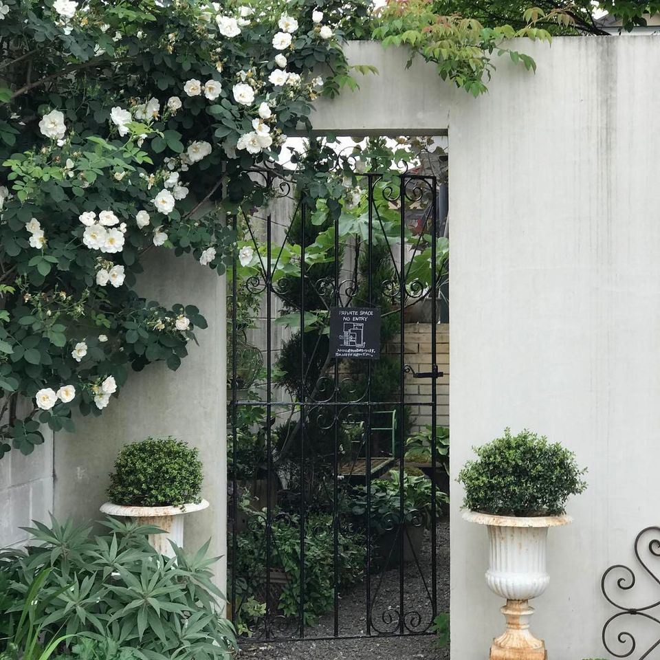 18451456_1361171237301410_4321