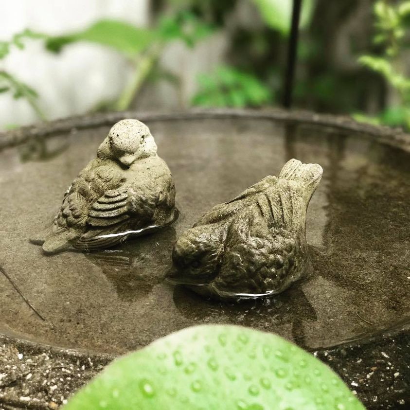 梅雨のバードパス - GARDENS（ガーデンズ） | 香川県高松市の造園