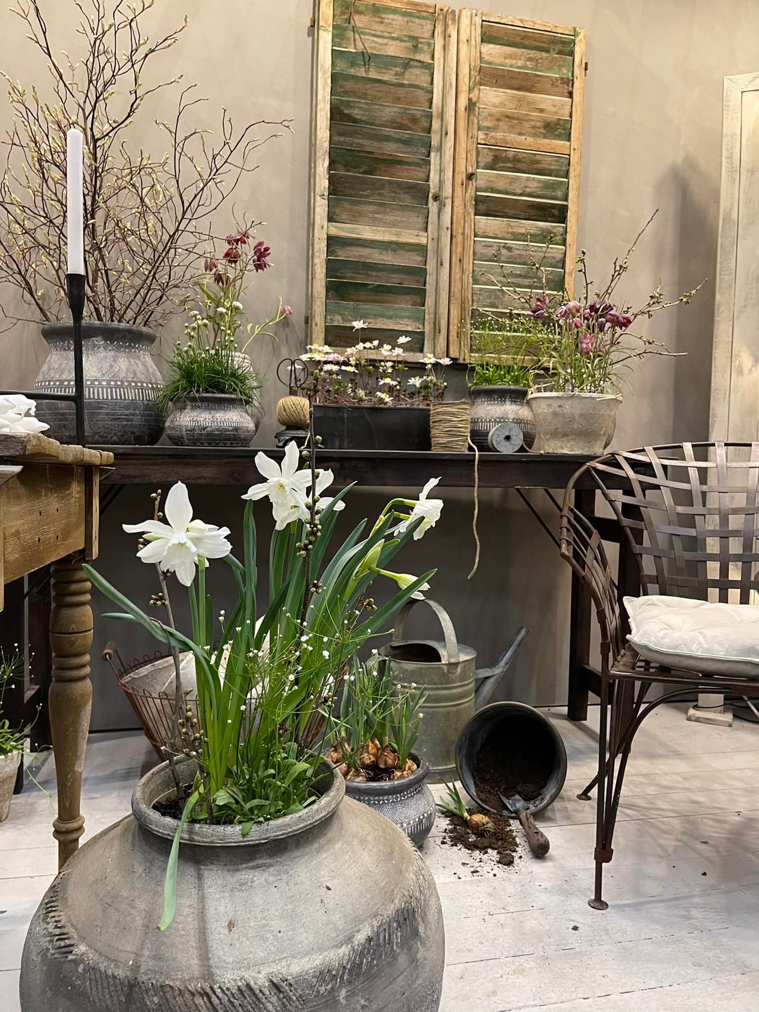 Anthropologie Garden Buzz カーテン かわいい 新生活 yhzoern4-7.jpg