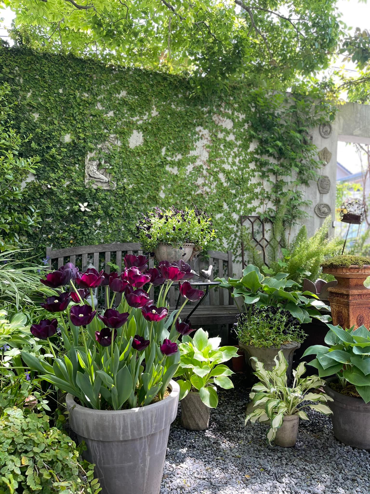 朝川朋之/GARDEN&GARDENER 朝川朋之 / GARDEN & GARDENER - メルカリ