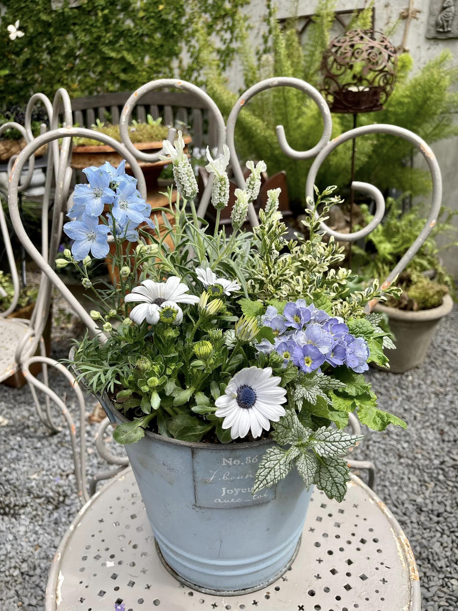 フリースタイルの寄せ植えレッスン - GARDENS（ガーデンズ） | 香川県