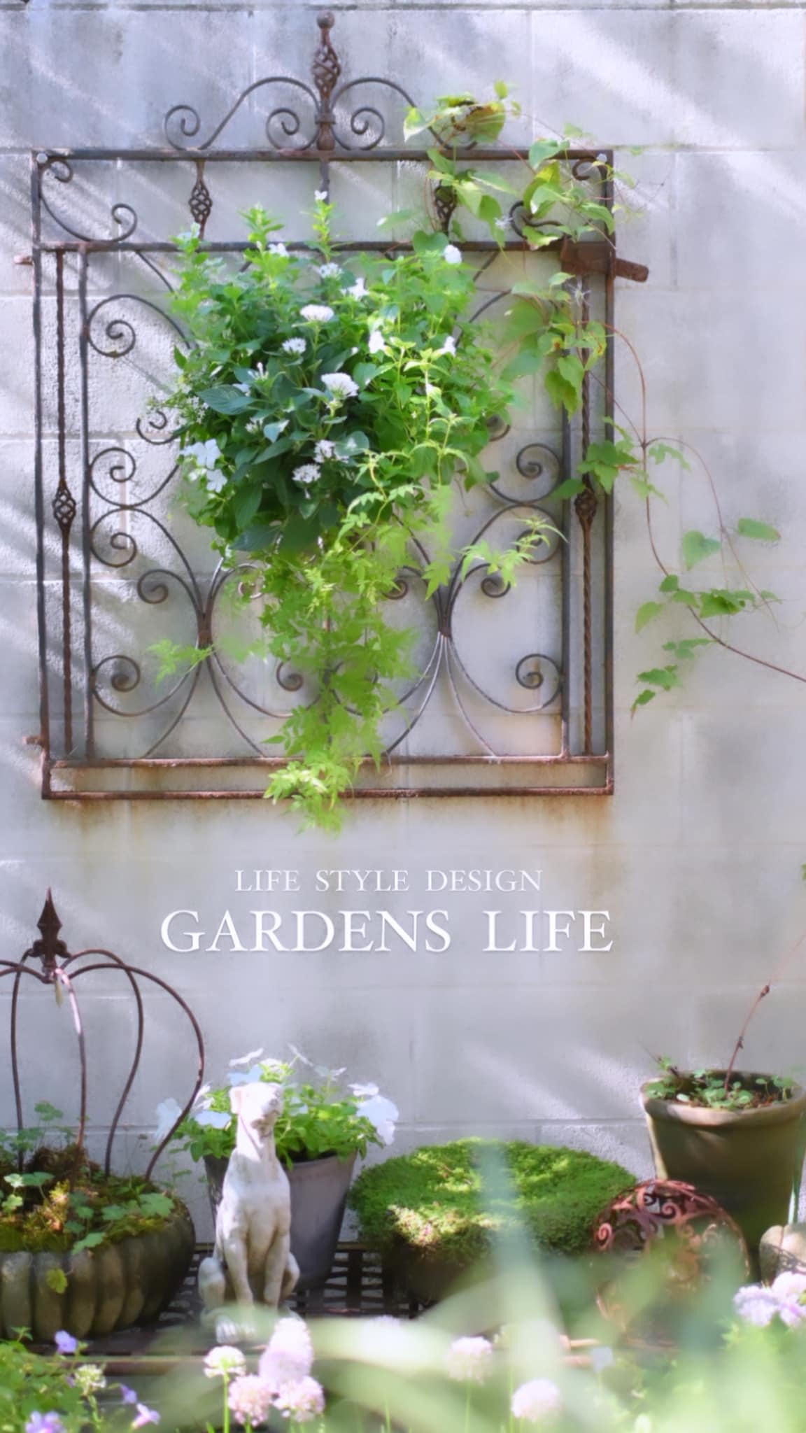 夏の庭 - GARDENS（ガーデンズ） | 香川県高松市の造園・エクステリア