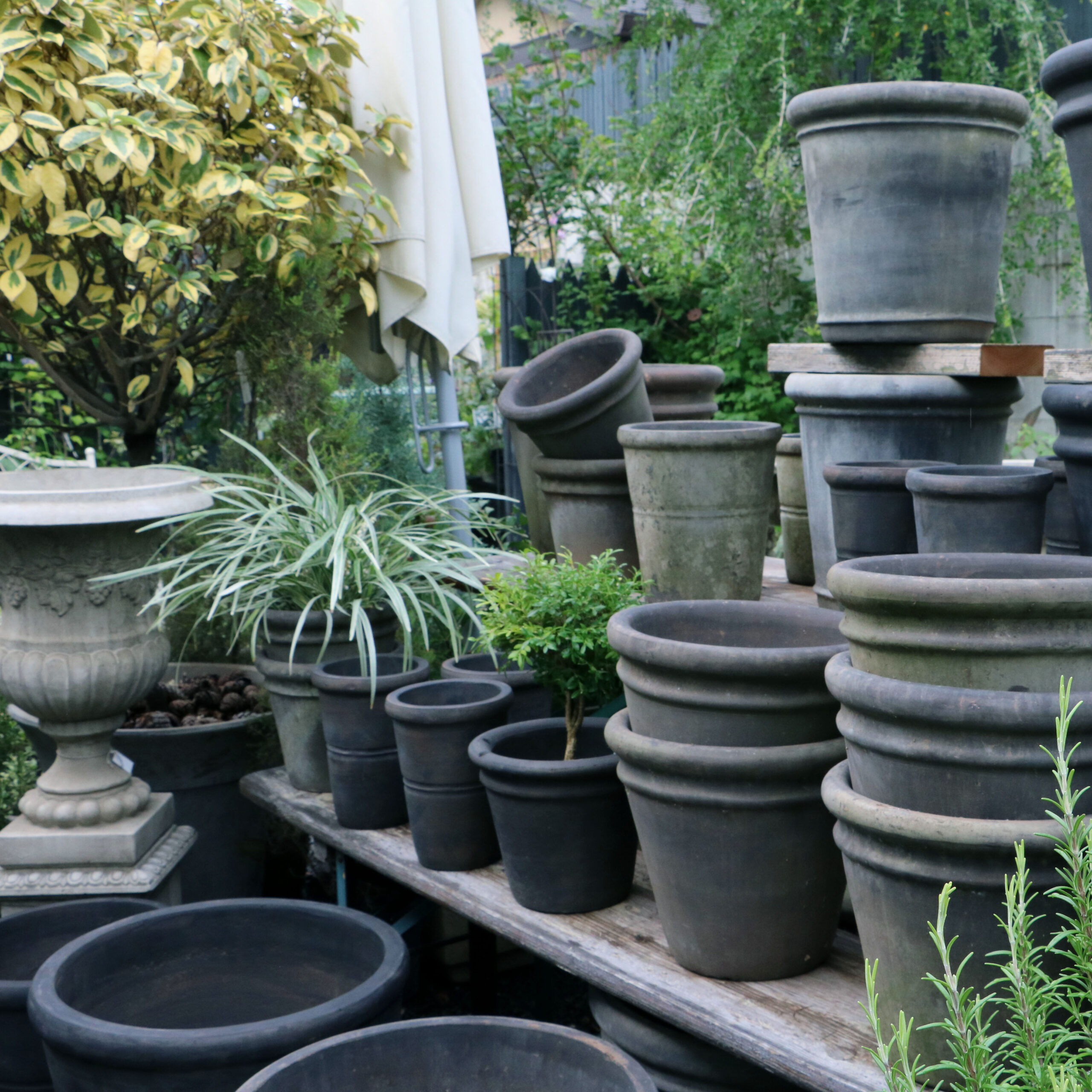 NORDIC 北欧フェア 7th 9/13(Fri)～ - GARDENS（ガーデンズ） | 香川県