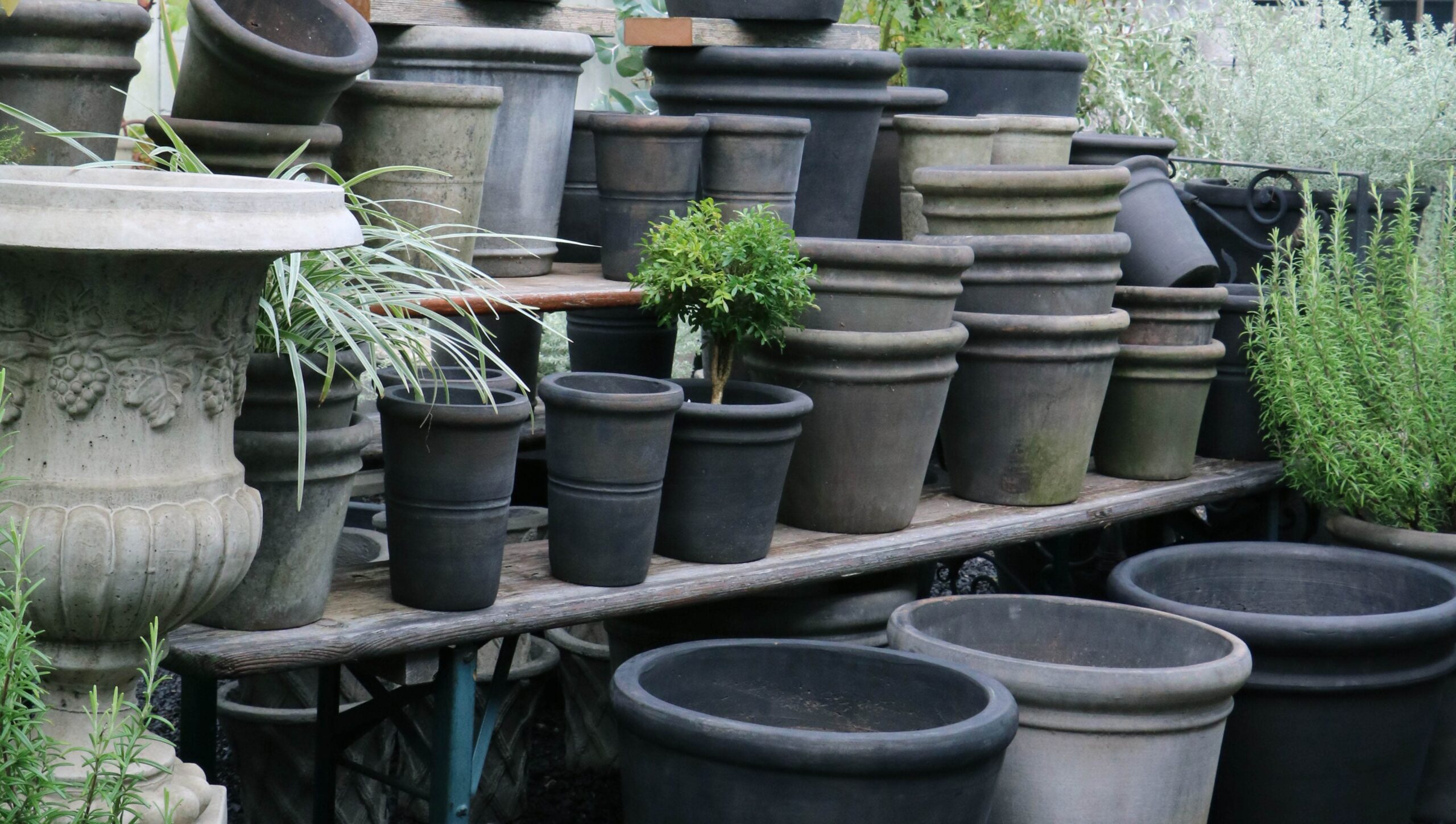 fabulous NORDICFIRTREE スウェーデン 北欧 fabulousgoose NORDICFIRTREE スウェーデン 北欧